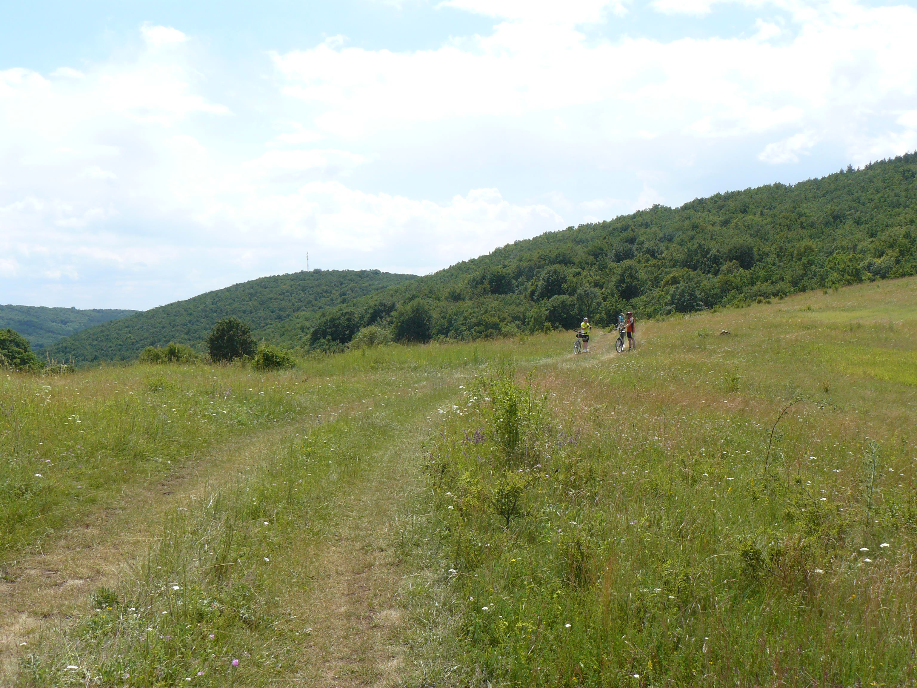106 Silická planina