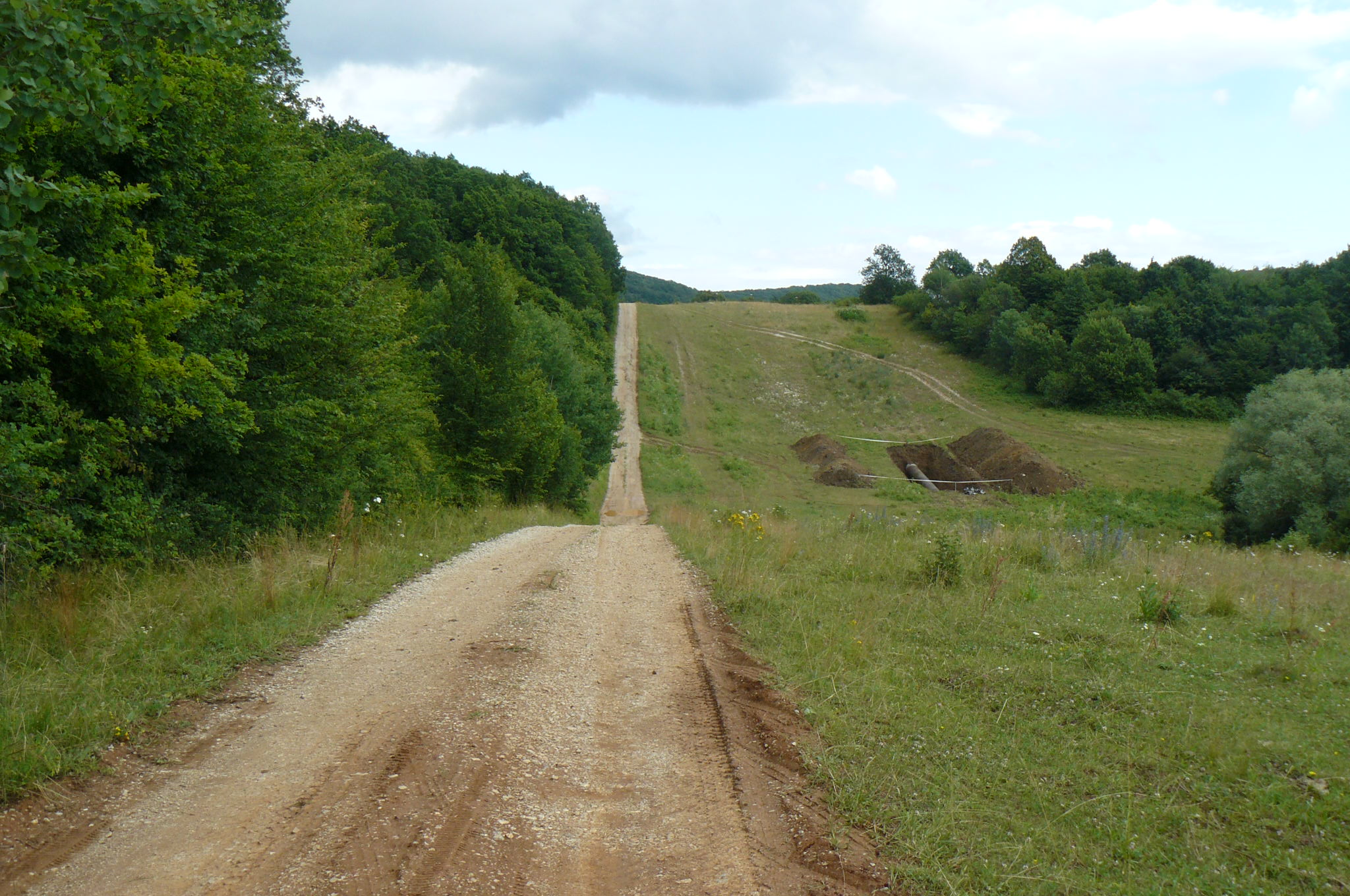 118 Zo Silickej Brezovej do Silice