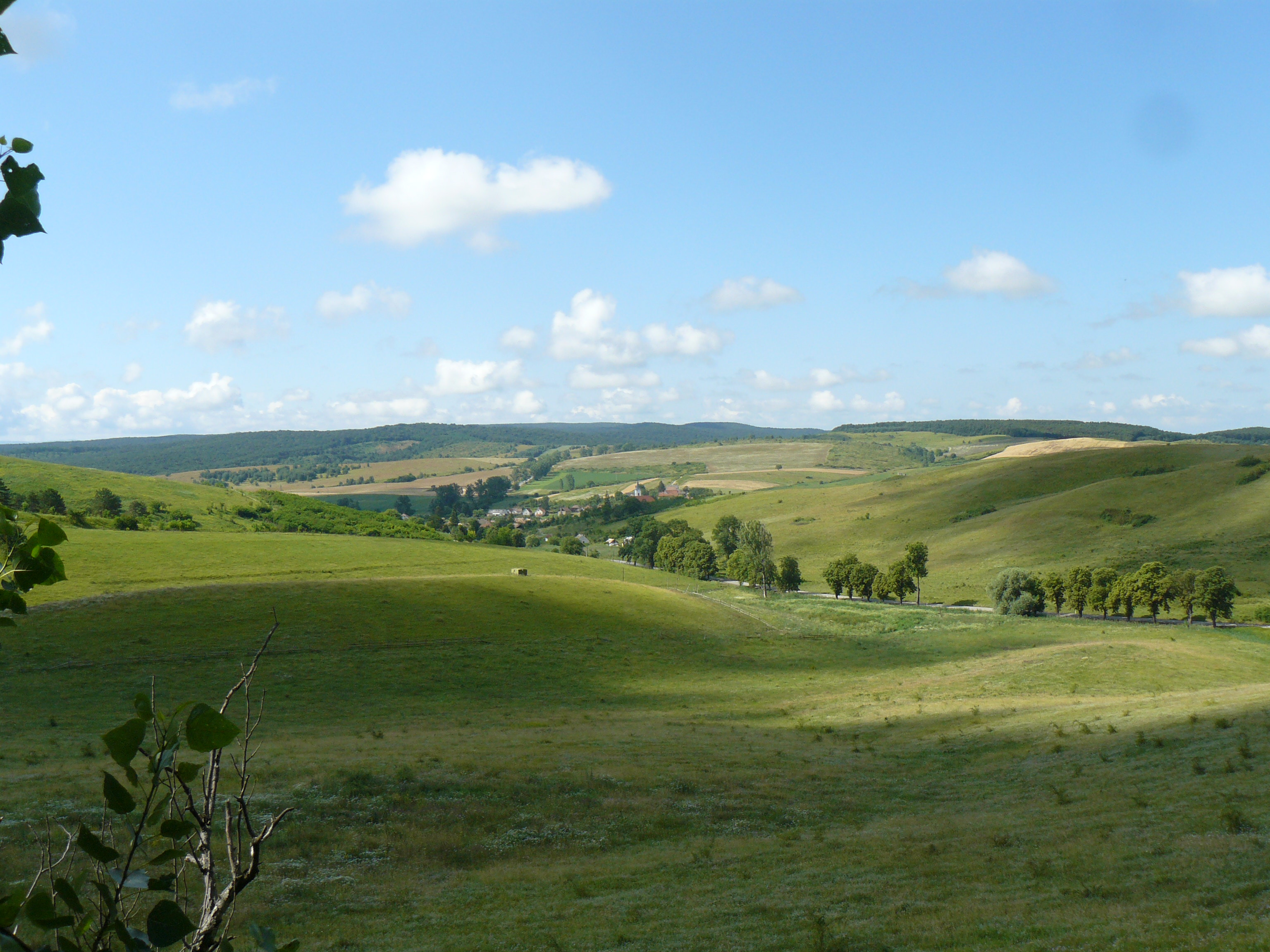 51 Pohľad zo stúpania nad Zádorfalvou